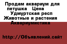 Продам аквариум для петушка › Цена ­ 500 - Удмуртская респ. Животные и растения » Аквариумистика   